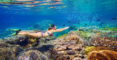 Snorkeling Cartagena